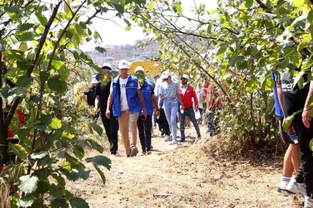 Alaplı’da Gönüllü Hasat Etkinliği Düzenlendi