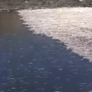 antakyada balik olumleri 2sLu8cla