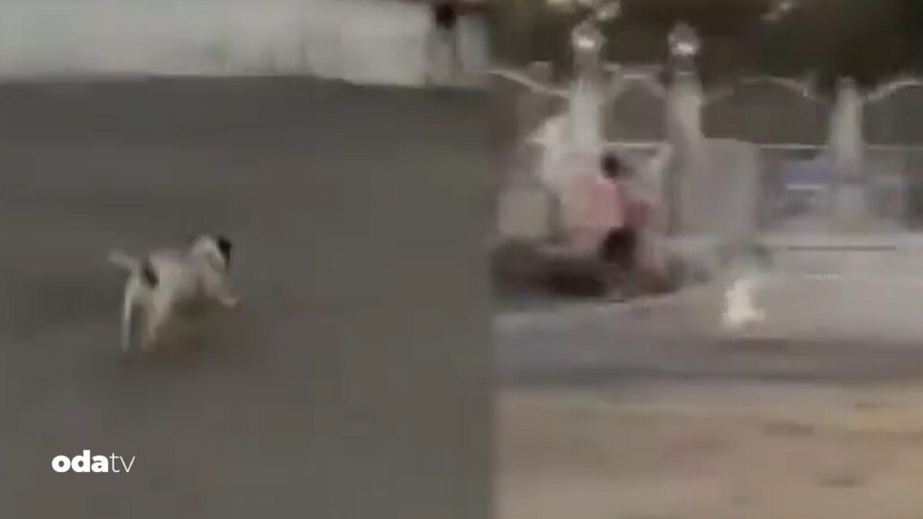 Erol Köse’nin kızı Dijan’dan pes dedirten paylaşım: Küçük kız korkusundan denize atladı