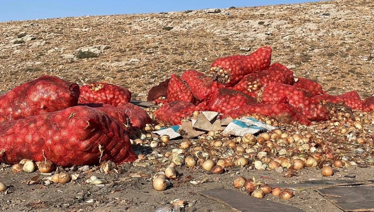 bos araziye tonlarca sogan dokuldu D8EfPmbC