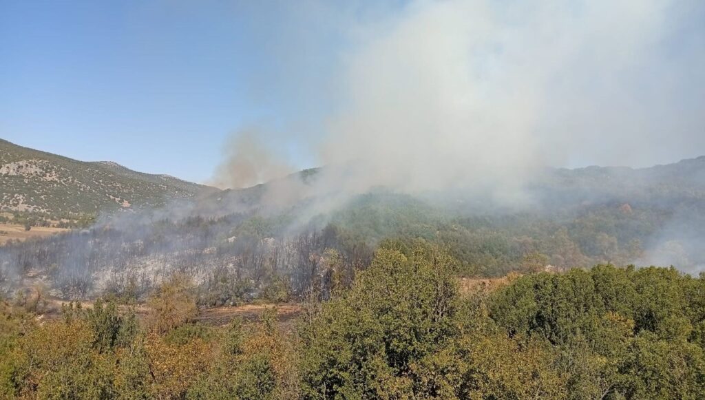 Burdur’da orman yangını: Ekipler olay yerinde