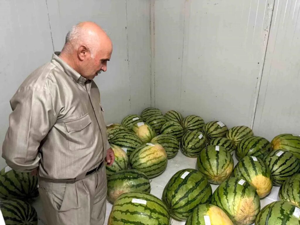 Diyarbakır Karpuzu Yarışması İçin Hazırlıklar Başladı