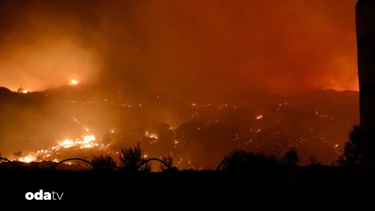 orman yanginlarinda son durum ne VQimu3AU