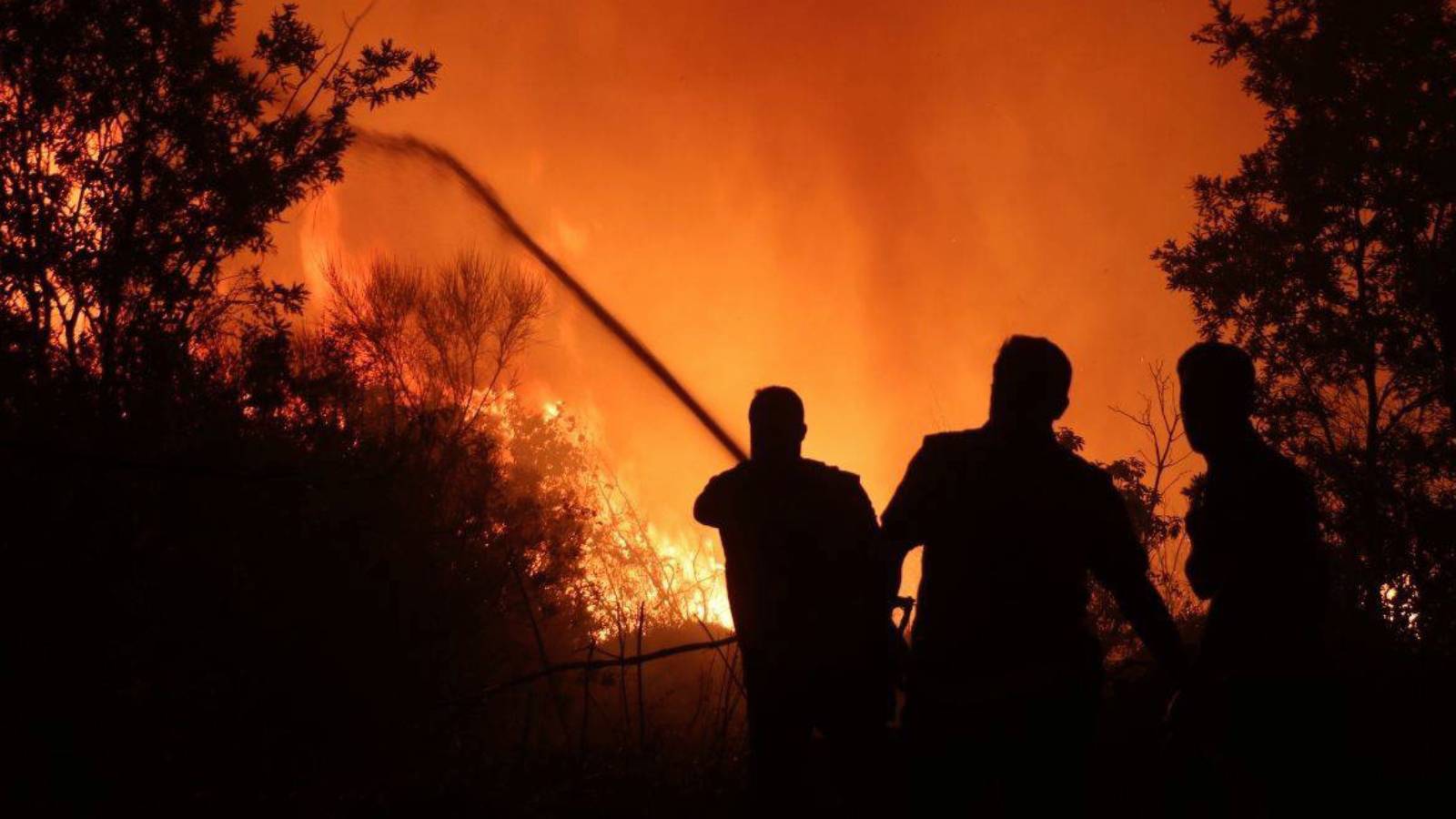 suriye lazkiyede 3 ayri orman yangini CUFR8gp6