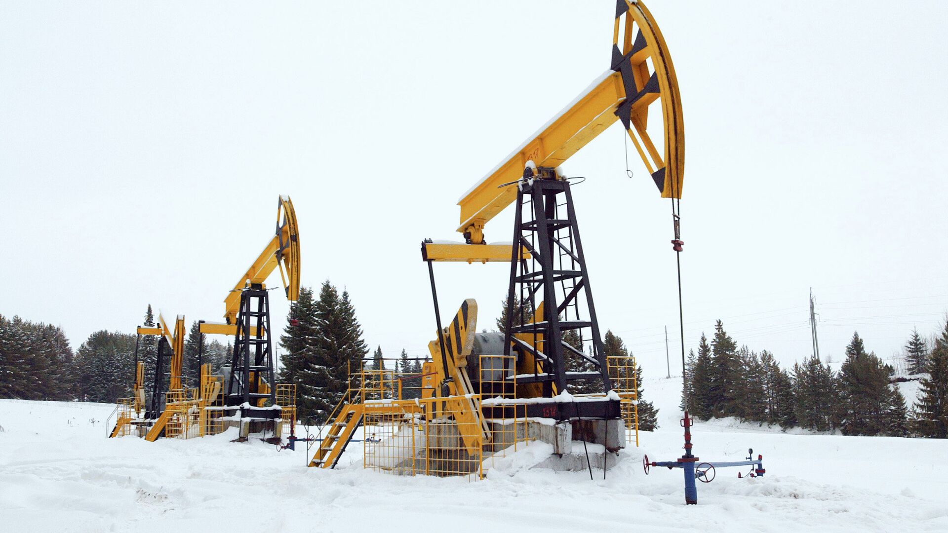 misirli uzman abd yaptirimlari rusyanin petrol ihracatinin azalmasina ve fiyatlarin yukselmesine neden olabilir xugVUTxt.jpg