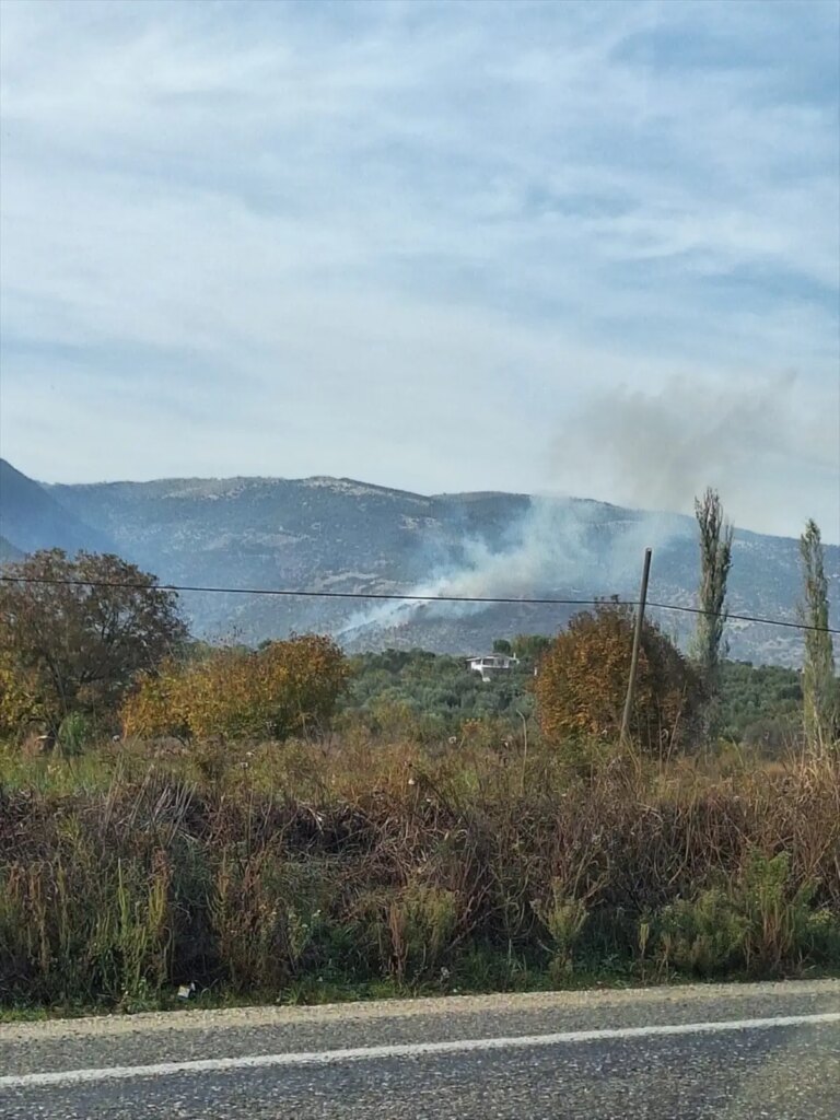 Bozdoğan’da Ziraat Yangını