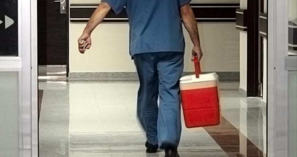 Canlı verici organ nakillerinde ilk gönüllüler anneler