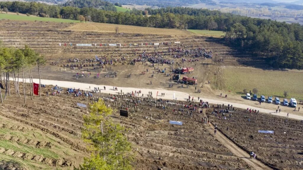 Sakarya’da Kaçakçılık Operasyonu: 3 Gözaltı