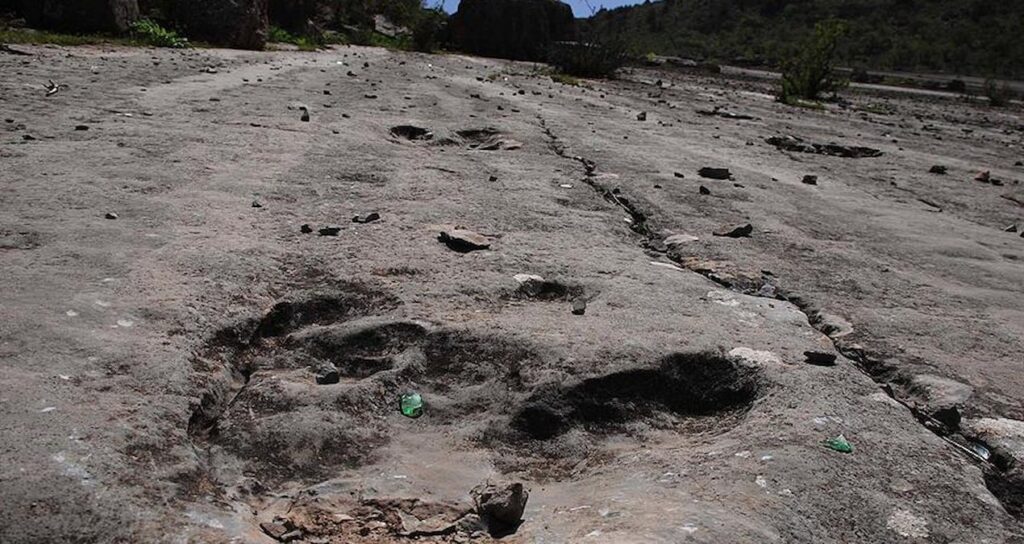 Dinozorlara ait 16 bin 600 ayak izi belgelendi