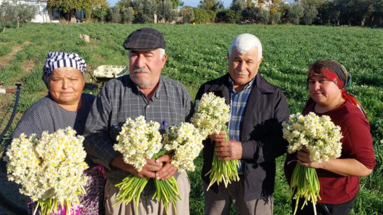 mersinde-nergisler-erken-acti-ugsF5vbz.jpg