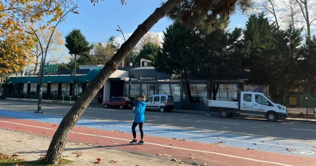 Ordu’da tehlike arz eden ağaçlar için güvenlik çalışması