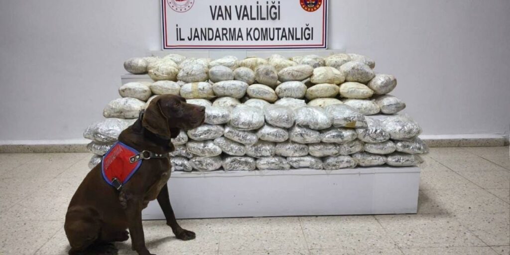 Van’da 60 kilo skunk ele geçirildi