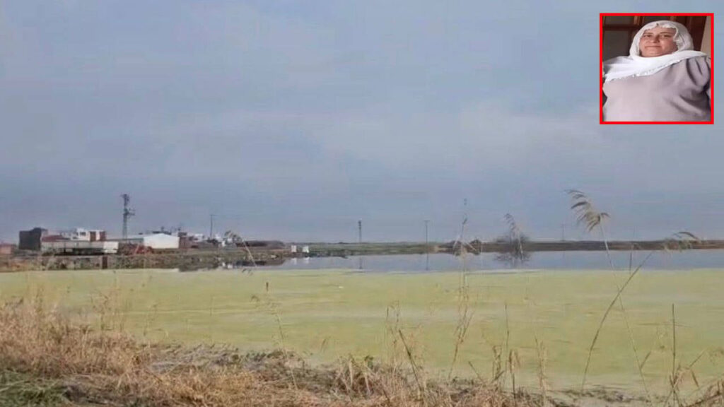 Diyarbakır’da 13 gündür haber alınamayan kadının cesedi bulundu